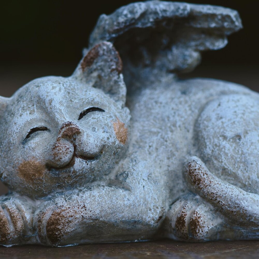 Meet your Posher, Jodie